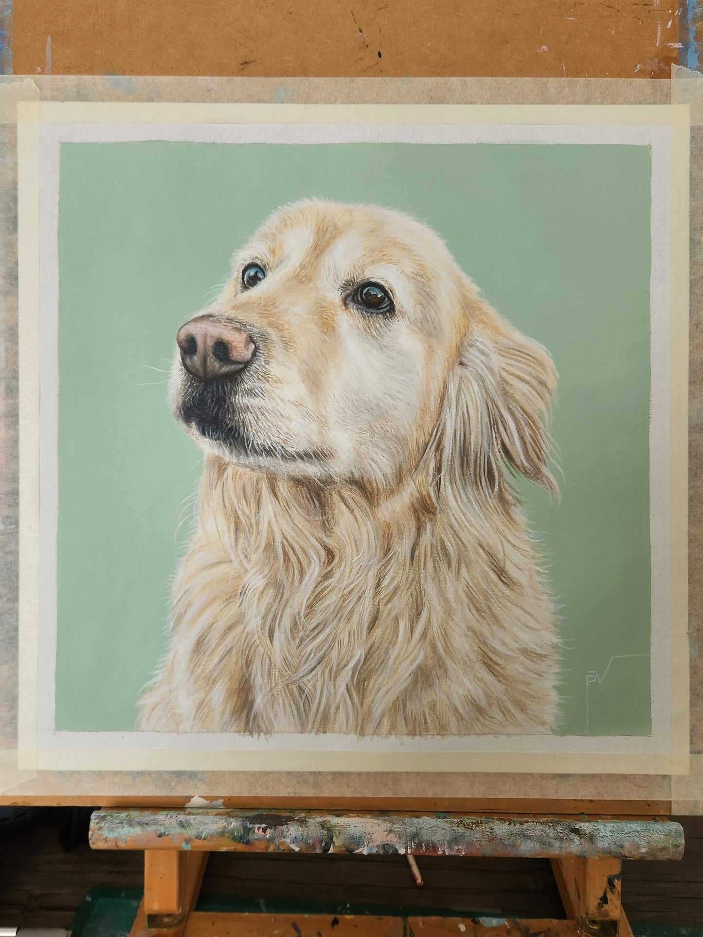 Retrato de Mascota en Tela (Sin Marco)