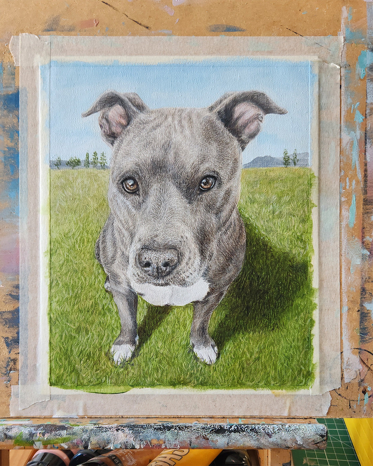 Retrato de Mascota en Tela 20cm x 25cm